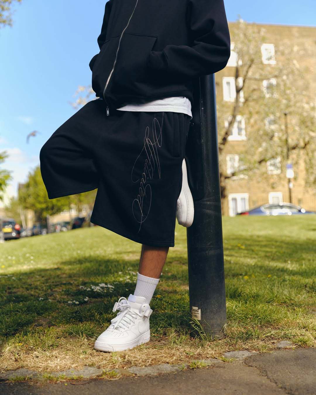 Signature Shorts