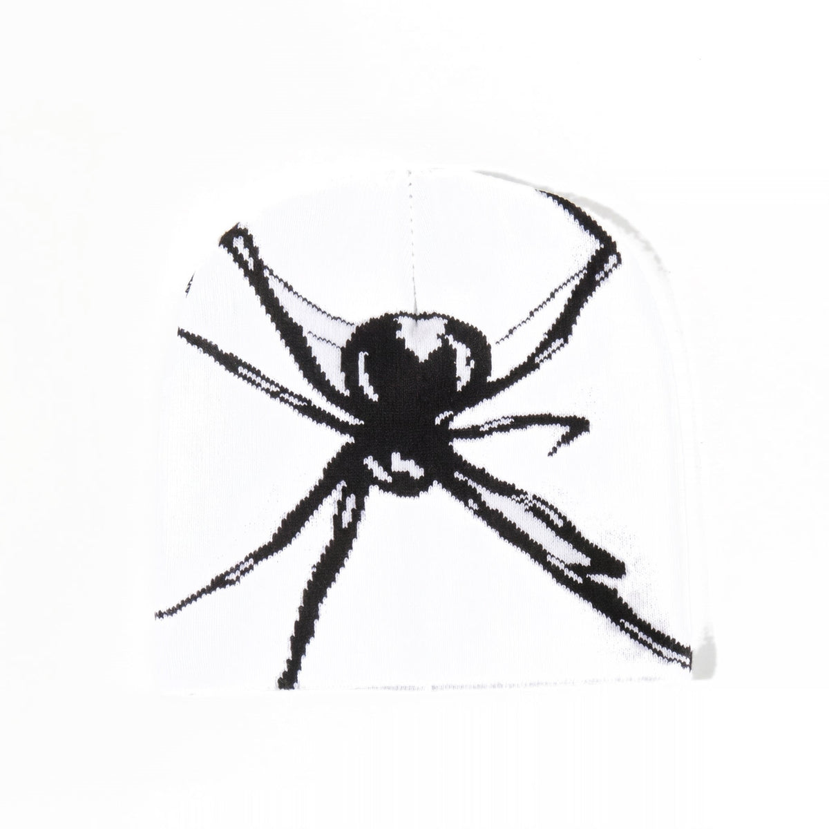 Spider Beanie